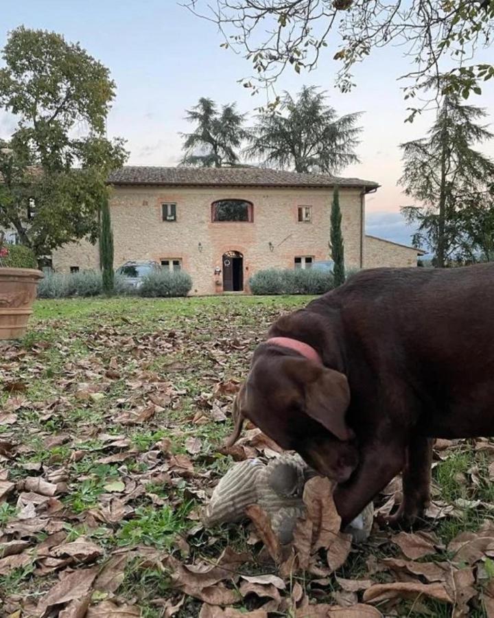 Agriturismo La Segolina Colle Val D'Elsa Εξωτερικό φωτογραφία
