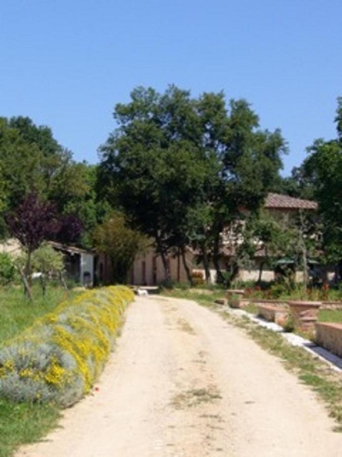 Agriturismo La Segolina Colle Val D'Elsa Εξωτερικό φωτογραφία